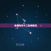 生肖马与十二生肖配对，十二生肖男女婚配属相
