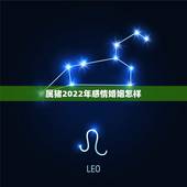 属猪2022年感情婚姻怎样，95年属猪几月命不好