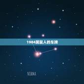 1984属鼠人的车牌，1984属鼠的人车牌号吉祥数