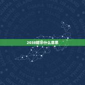 2038暗示什么意思，2038爱情是什么意思
