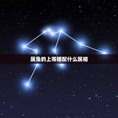 属兔的上等婚配什么属相，属相婚配表之属兔的和什么属相相配
