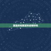 属鼠的和属鼠的结婚好吗，属鼠和属兔的人结婚好吗