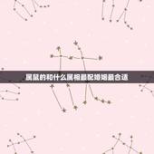 属鼠的和什么属相最配婚姻最合适，属鼠的女人配什么属相的婚姻好