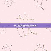 十二生肖流年运势2022，2022十二生肖运势