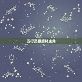 五行灵根废材主角，求名字，正确马上