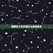属狗在工作中跟什么属相最合，属狗的和什么属相最合
