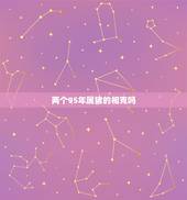 两个95年属猪的相克吗，两个属猪的真的相克不能结婚吗？男是1995年九