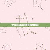 95年属猪男和啥属相女婚配，95年属猪的和什么属相最配