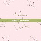 属猪的人2月运势如何，2010属猪人运程运势