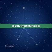 梦见自己在稻田抓了很多鱼，梦见我们在收割稻田，又捉了很多鳝鱼