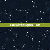 2022年出生的小孩是属什么的，2022年出生的五行缺什么
