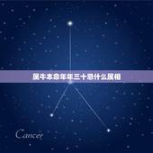 属牛本命年年三十忌什么属相，2021年属牛本命年忌讳什么颜色？有什么讲