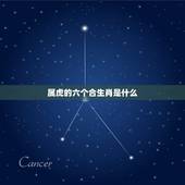 属虎的六个合生肖是什么，属虎的人和什么属相相合