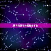 属马和属马的属相合不合，属马和属马女的婚配好不好