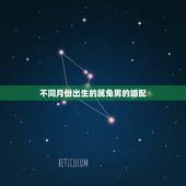 不同月份出生的属兔男的婚配，1999年兔男的最佳婚姻配对是