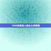 1999年属兔人城头土命婚姻，1999年属兔人城头土命