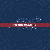 2022年属蛇五行属什么，属蛇2022 运势及运程详解