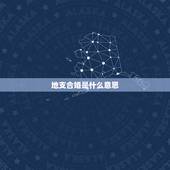 地支合婚是什么意思，男女八字合婚，天干地支正冲是什么意思