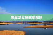 男属龙女属蛇相配吗，男属龙的和什么属相最配