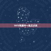 1973年属牛一生三大坎，73年属牛的最大劫数