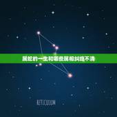 属蛇的一生和哪些属相纠缠不清，属蛇人和什么属相不合