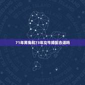 71年男兔和73年女牛婚配合适吗，1971年属猪女和1973年属牛男合