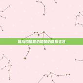 属马和属蛇的婚配的良辰吉日，属蛇和属马的婚配好吗