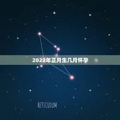 2022年正月生几月怀孕，我是87年正月初四的生日，农历2018年12