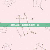 属虎人和什么属相不能在一起，属虎的和什么属相最配