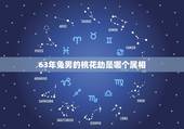 63年兔男的桃花劫是哪个属相，属猪男属兔女婚配好吗
