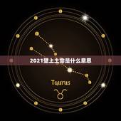 2021壁上土命是什么意思，2021年什么命