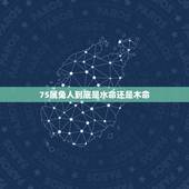 75属兔人到底是水命还是木命，1975年出生的是什么命的人 （金 木
