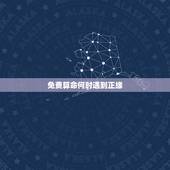免费算命何时遇到正缘，算命说我明年才能遇见正缘，但现在有人追我，但这人
