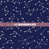 1977属蛇男婚姻与命运，1977年属蛇人婚姻命运