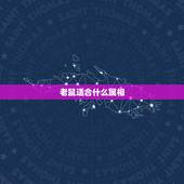 老鼠适合什么属相，属狗和属鼠的合不合婚