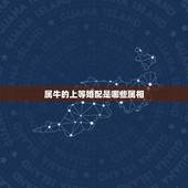 属牛的上等婚配是哪些属相，属狗男和属牛女相克吗