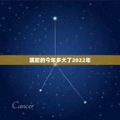 属蛇的今年多大了2022年，属老鼠的今年多大了2022 年