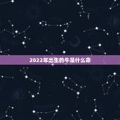 2022年出生的牛是什么命，85年属牛女人一生灾难