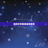 现在怀孕属相是啥意思，十二生肖都代表什么意思