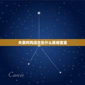 夫妻鸡狗适合生什么属相宝宝，属鸡的找什么属相的好