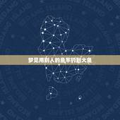 梦见用别人的鱼竿钓到大鱼，早上七点多梦见自己拿别人的鱼竿钓到了两条大锂