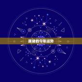 属猪的今年运势，2022属猪人的全年运势如何