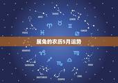 属兔的农历5月运势，63年属兔人在2023年农历二月偏才运势如何？