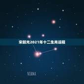 宋韶光2021年十二生肖运程，2021年十二生肖运势运程