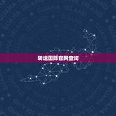 转运国际官网查询，什么是国际转运