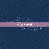 十二生肖和年份，十二生肖年份表图片