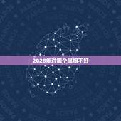 2028年对哪个属相不好，属什么生肖最不好