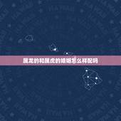 属龙的和属虎的婚姻怎么样配吗，属虎的人和什么属相配