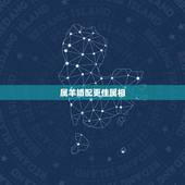 属羊婚配更佳属相，更佳属相婚配表