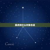 属虎找什么对象合适，属虎和属什么的最合适